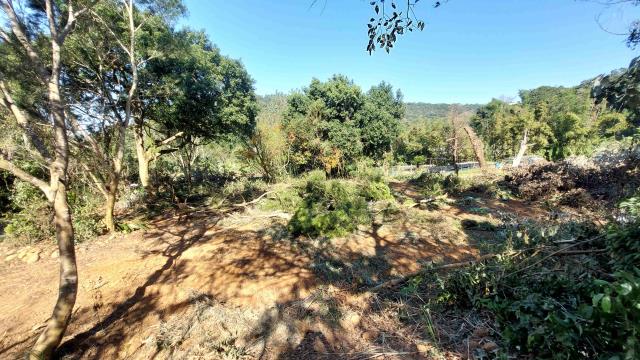 新竹新埔農地-5