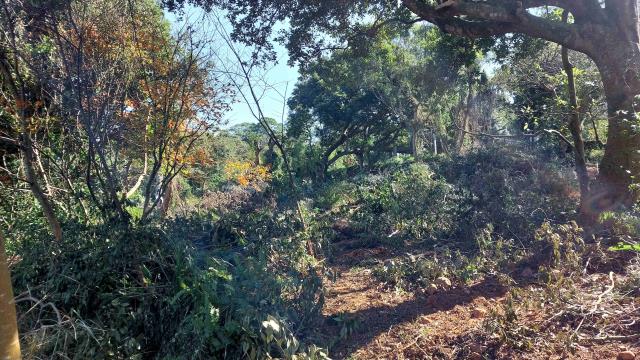 新竹新埔農地-7