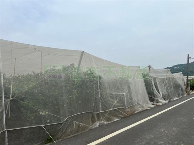 高雄岡山農地-6