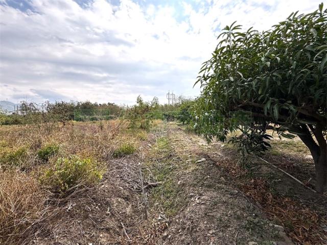 屏東枋山農地-9