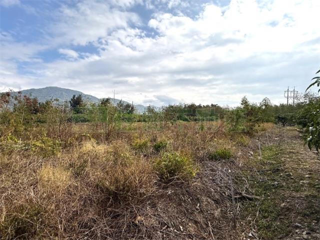 屏東枋山農地-11