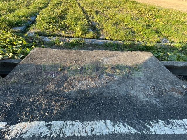 高雄美濃農地-5