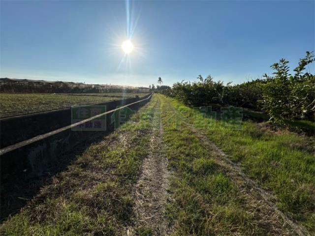 高雄美濃農地-2