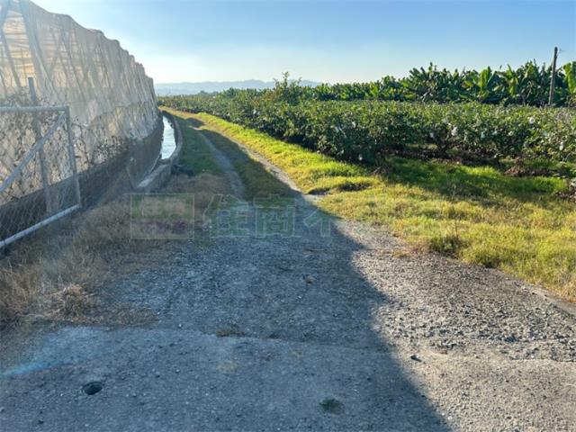高雄美濃農地-3