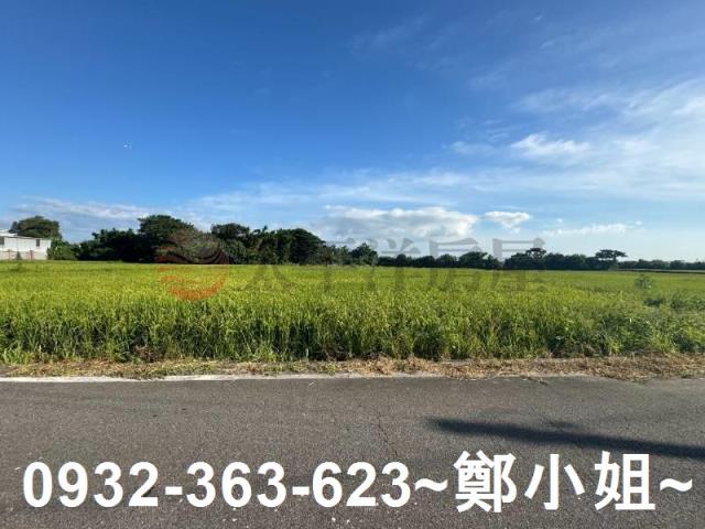 桃園新屋農地-11