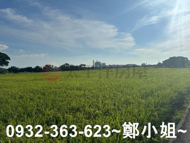 桃園新屋農地-12