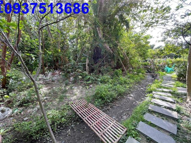 新竹竹北農地-3