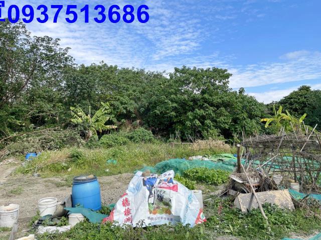 新竹竹北農地-8