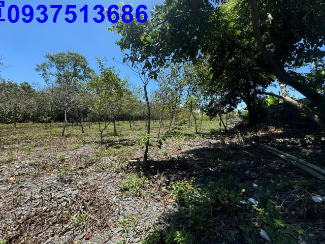 宜蘭礁溪農地-10