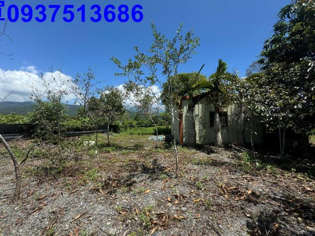 宜蘭礁溪農地-14