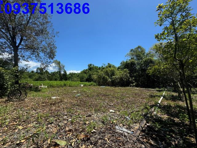 宜蘭縣礁溪鄉結龍段農地出售