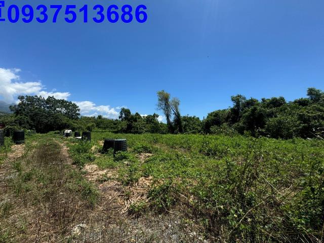 宜蘭礁溪農地-4