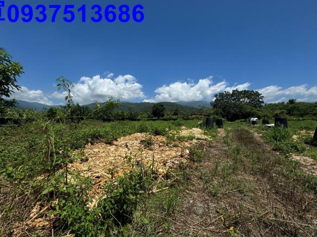 宜蘭礁溪農地-6