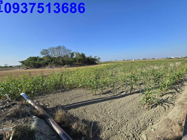 嘉義縣新港鄉西庄段西庄小段農地出售