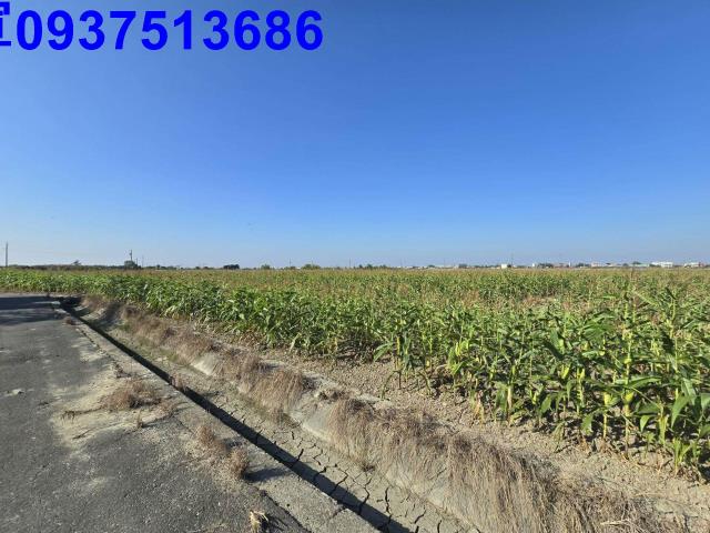 嘉義新港農地-2