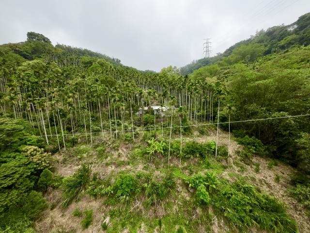 南投草屯農地-9