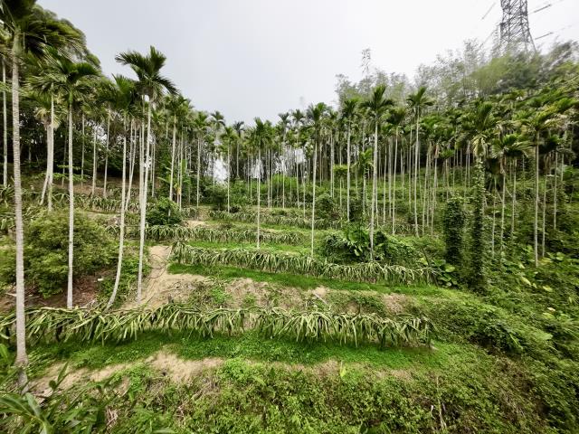 南投草屯農地-3