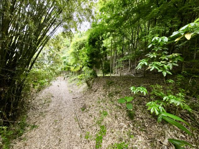 南投草屯農地-6