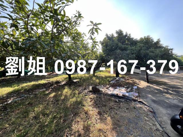 高雄鳥松農地-1