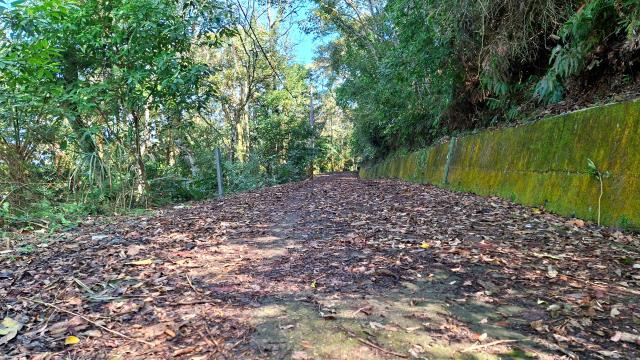 新竹橫山農地-1