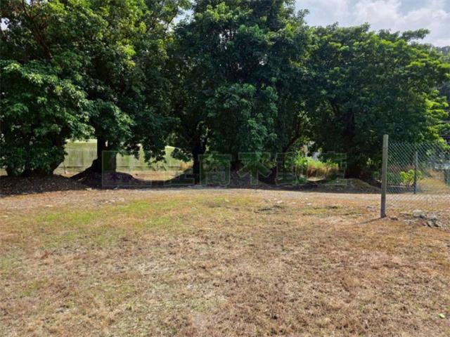 屏東高樹農地-11