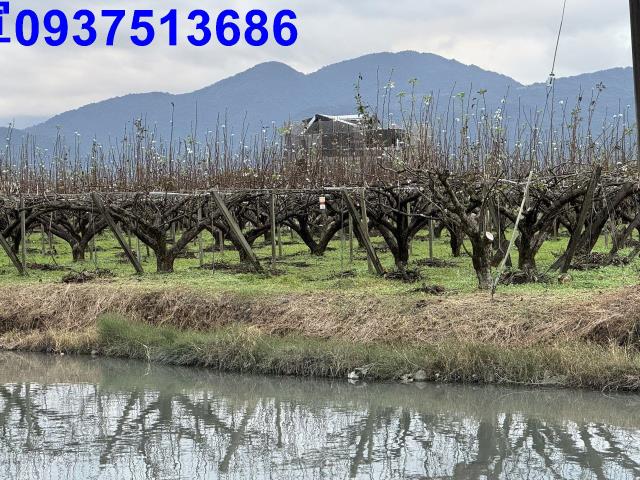 宜蘭縣三星鄉星月段農地出售