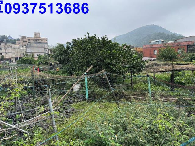 宜蘭縣蘇澳鎮聖湖段建地出售