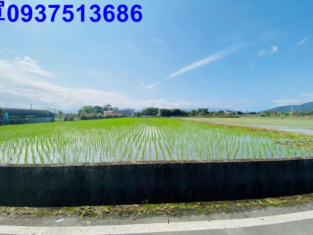 宜蘭縣員山鄉大鬮段農地出售