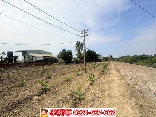 高雄路竹農地-6