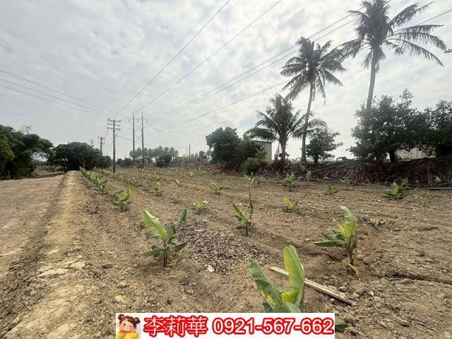 高雄路竹農地-7