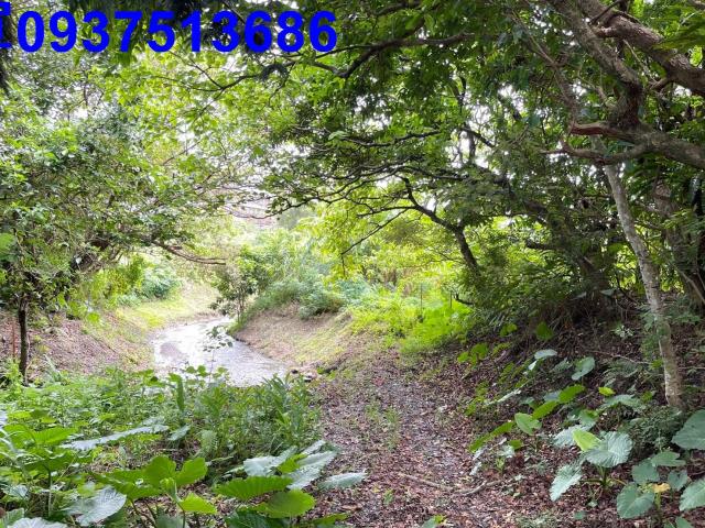 宜蘭頭城建地-8