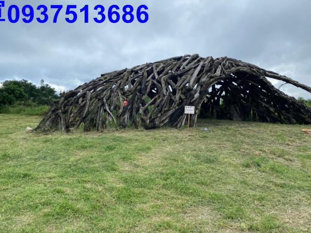 宜蘭壯圍農地-7