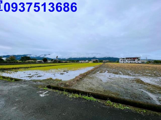 宜蘭三星農地-6