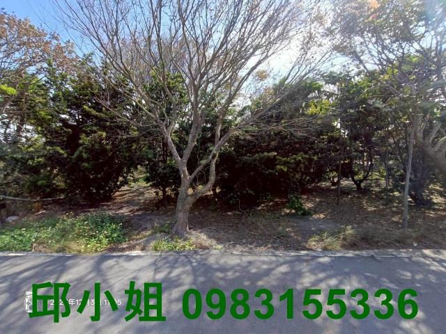 嘉義買房賣房房地合一稅建地農地