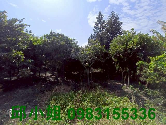 嘉義買房賣房房地合一稅建地農地