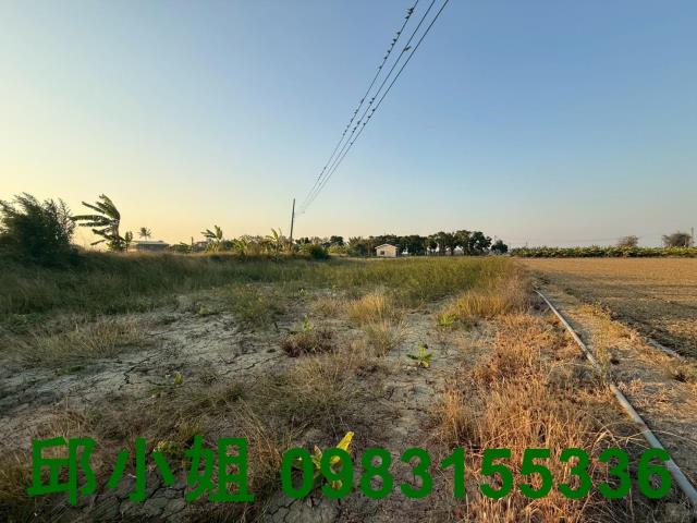 嘉義買房賣房房地合一稅建地農地