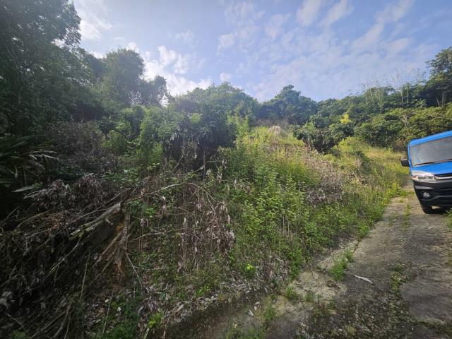 高雄大樹農地-1