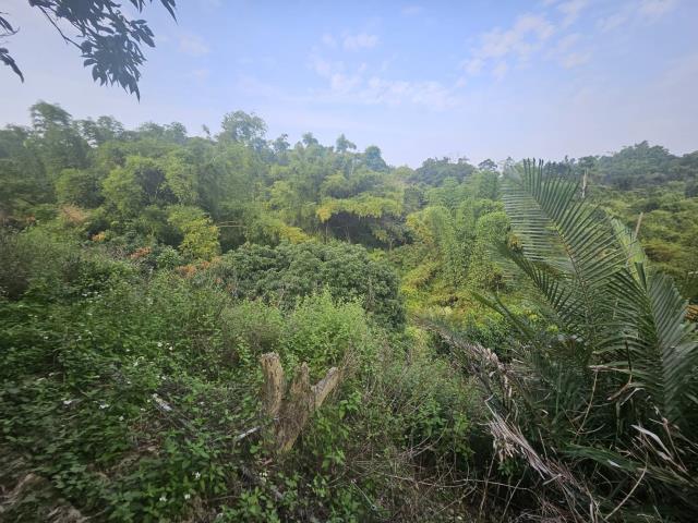 高雄大樹農地-5