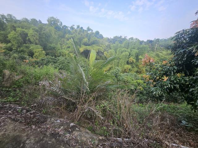 高雄大樹農地-7