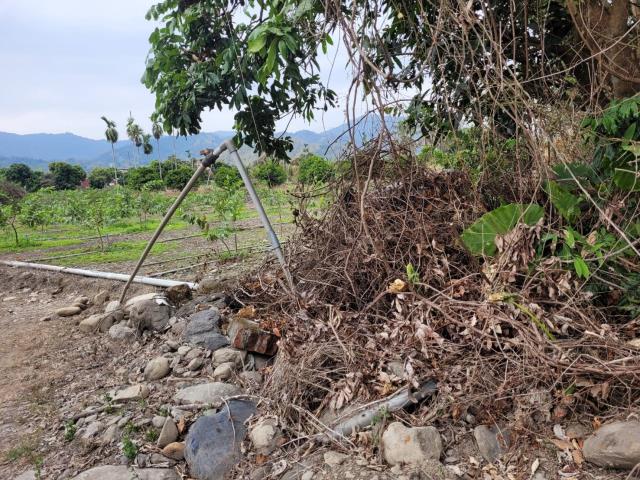 高雄六龜農地-4