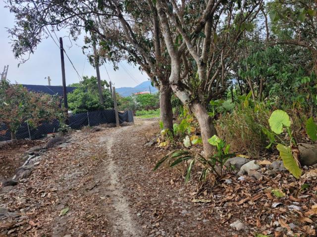 高雄六龜農地-6