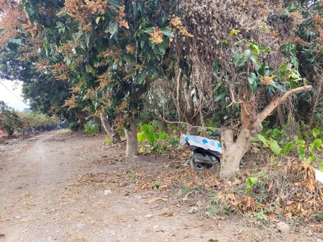 高雄六龜農地-8