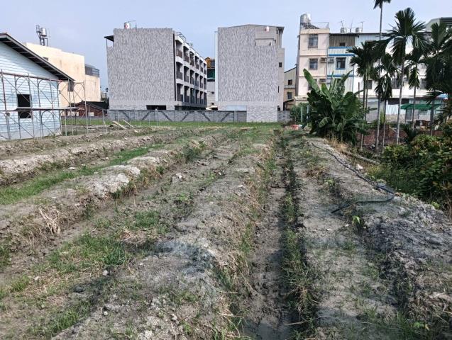 屏東屏東市農地-2