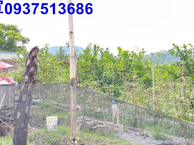 宜蘭員山農地-1