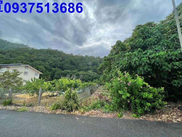 宜蘭縣員山鄉枕山一段農地出售