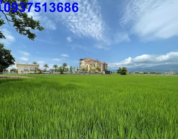 宜蘭縣礁溪鄉朝陽段農地出售