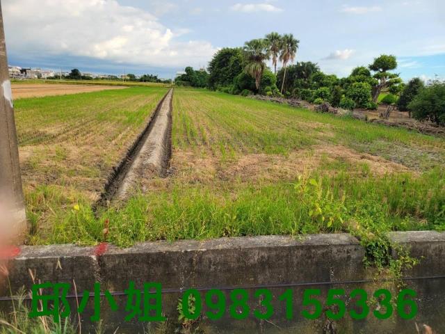 嘉義買房賣房房地合一稅建地農地