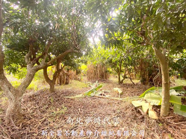 新化農地-2