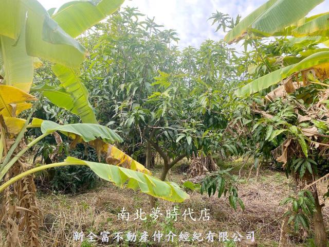 新化農地-3