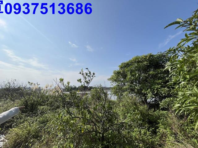 宜蘭縣宜蘭市凱旋二段農地出售